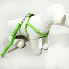 寵物卡斯羅防爆沖牽引繩狗狗彈力牽引繩杜賓高獵犬伸縮鏈子寵物回彈繩牽引繩 歷史價格詳細信息