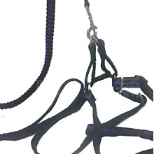 小米 2S 專用  傳輸線/小米機MI M2 2S MI 2S/1s 2s小米 - Micro USB 【便宜也有好貨】 歷史價格詳細信息