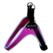 ☆汪喵小舖2店☆ 狗狗專區～日本 IRIS 新一代網狀抗菌狗便盆 TFT-650 歷史價格詳細信息