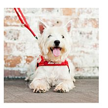 【澳洲 EZYDOG】2秒穿戴 多功能 終極胸背帶-丹寧 XXS 歷史價格詳細信息