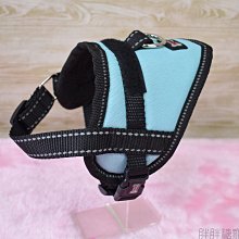 寵物用品貓咪胸背小蜜蜂牽引繩透氣小型犬狗狗繩子遛貓狗繩卡通 歷史價格詳細信息