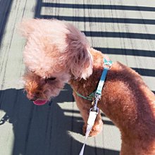 墨臻瑞鶴黃銅燒藍香道裝禮盒香爐香薰爐打香篆工具香粉香纂焚香 歷史價格詳細信息