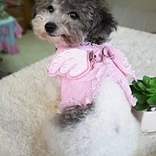 ☆寵愛家☆寵物牽引繩-P字型牽繩-訓練用P字鍊-12mm(無需狗項圈) . 歷史價格詳細信息