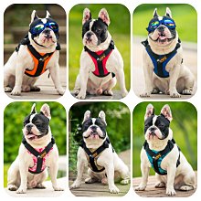 ۞芙芙遊樂園۞(現貨)狗狗世界盃足球背心 寵物衣服春夏款泰迪大小狗狗服飾 XS.S.M.L.XL.XXL下標區 歷史價格詳細信息