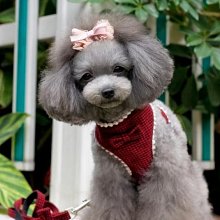 【Ziga＊里家】☆經典百搭~粗花呢格子蝴蝶結狗飾品．寵物項鍊☆貓貓/狗狗《寵物專用》項圈～☆2款選 歷史價格詳細信息