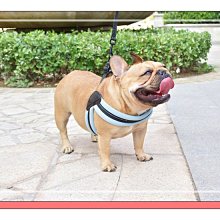 Amy寵物生活館:出清~寵物三角胸背帶XS號 粉紅/藍色(附繩) 歷史價格詳細信息