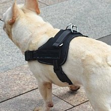 【監獄寵物館】日本 PETCO 寵物綁帶生理褲 **破盤大特價優惠，賣完不再進貨** 歷史價格詳細信息