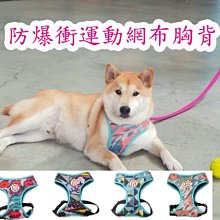 寵物背帶布丁妹妹小熊寵物牽引繩狗狗外出背包遛狗繩中小型犬背心式胸背帶 歷史價格詳細信息