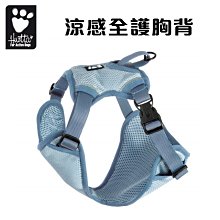 訂購_Hurtta 炫亮超反光牽繩 (橘色 / 黃色) 狗胸背 穿戴容易~高效3M反光條 長牽繩 拉繩 歷史價格詳細信息