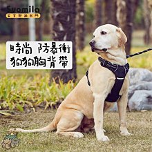 寵物狗胸背帶麂皮絨胸背中小型犬背心式牽引繩 寵物防爆衝反光胸揹帶法鬥胸背中小型犬背帶 歷史價格詳細信息