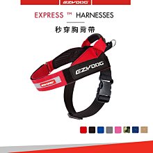 【福爾摩沙寵物精品】澳洲EzyDog 快套式胸背帶 《基本色系》狗胸背帶 貓胸背帶 狗背帶 寵物背帶 歷史價格詳細信息