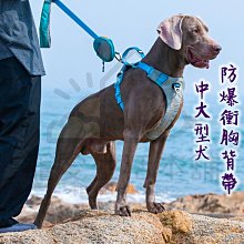 中大型狗用防爆衝胸背帶+反光安全牽繩+項圈 寵物防爆衝 馬鞍型寵物胸背帶 魔術貼側貼 中大型犬 胸背帶 帶夜--特價 歷史價格詳細信息
