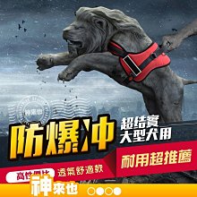 寵物胸背帶狗狗背心式防爆衝中大型犬外出牽繩可調節小狗拉繩牽引帶大狗繩子 歷史價格詳細信息