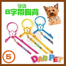 【幸福寶貝寵物Go】台灣製 DAB PET《4分，中型犬》豹紋-插扣項圈(藍.粉.黃三種顏色) 歷史價格詳細信息