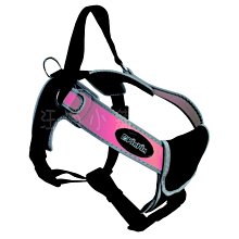 ☆汪喵小舖2店☆ 博士巧思-機能兔高纖強化配方主食飼料1.2公斤 歷史價格詳細信息