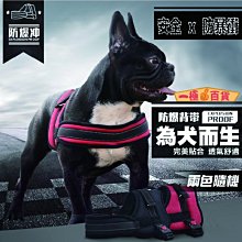 寵物用品馬鞍式狗狗胸背帶金毛拉布拉多薩摩耶中大型犬遛狗牽引繩 歷史價格詳細信息