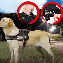 【監獄寵物館】日本 PETCO 寵物綁帶生理褲 **破盤大特價優惠，賣完不再進貨** 歷史價格詳細信息