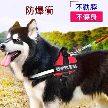 寵物胸背帶小型中大型犬外出便捷背心式胸帶拉布拉多狗狗遛狗用品-沐陽家居 歷史價格詳細信息
