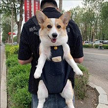 台灣現貨供應～天然葫蘆招財擺飾雕刻掛飾真葫蘆福祿擺件 歷史價格詳細信息