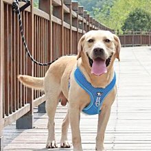 中大型犬背帶 胸背戰術 防爆沖 德牧馬犬防掙脫拴狗脖套 牽繩 寵物牽繩 牽引繩 歷史價格詳細信息