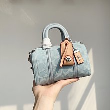 COACH CJ831新款時尚手提斜挎包 女包 歷史價格詳細信息