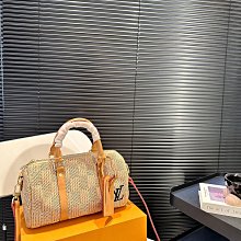 Leann代購~2024新款手提包枕頭包高級時尚單肩斜挎包波士頓包 時尚優雅 20.13cm 配盒 歷史價格詳細信息