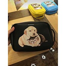 Balenciaga Everyday 小牛皮 XXS 托特包/附長肩帶 銀色 歷史價格詳細信息