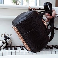 Alexander Wang  亞歷山大*亮鉆??腰包代購 歷史價格詳細信息