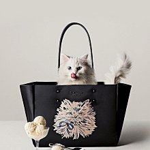 【單包特價】三鳳科技《奇蹟之樹辣木茶-單包》三鳳辣木茶 辣木茶包 辣木養生茶 辣木 辣木葉 辣木籽【SGS無農藥檢出】 歷史價格詳細信息