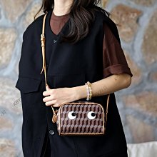 女生包包 女士2023新款格紋女包 圓筒包 枕頭包 波士頓女包 手提斜挎包 斜背包 肩背包 歷史價格詳細信息