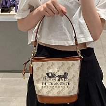 COACH蔻馳新款KLARE翻蓋鏈條女包單肩斜跨包91019蛇紋配皮尺寸21X16X7 歷史價格詳細信息