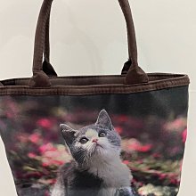 I-Cute 牙視儀-白色【杏一】 歷史價格詳細信息