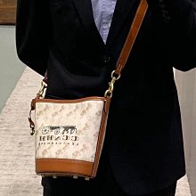 印花水桶包 2024夏季水桶包 同手提 小仙女  斜背包 百搭 斜背包 復古水桶包 流行 歷史價格詳細信息