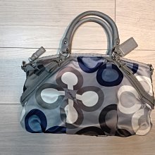 COACH 迪尼士聯名款/大手拿包(多款選) 歷史價格詳細信息