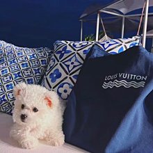 L家藍色帆布包！絕對的渠道貨！限量款！有限供應！男女都可，時尚休閑！夠大又厚實！ 價格比較,價格查詢,歷史價格詳細信息