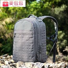 戰術背心愛默生輕量快拆切割LAVC突擊戰術背心W/ROC 快拆背心帶插板 歷史價格詳細信息