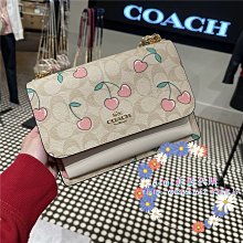 COACH蔻馳新款KLARE翻蓋鏈條女包單肩斜跨包91019蛇紋配皮尺寸21X16X7 歷史價格詳細信息