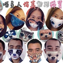 超可愛貓咪零錢包 歷史價格詳細信息