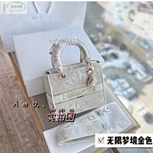 女包戴妃包23新款時尚小眾輕奢紋單肩斜挎百搭手提包包 歷史價格詳細信息
