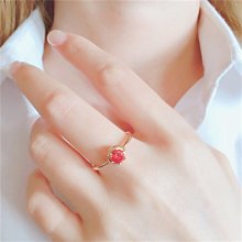 俄羅斯簡史：從異教徒到普丁總統【金石堂】 歷史價格詳細信息