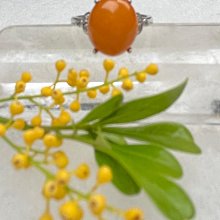 蜜蠟 戒指 蛋面 天然 ❤水晶玉石特賣#B504-4 歷史價格詳細信息