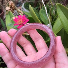 2手~晶工牌 六人份電子鍋 電鍋 JK-1605 歷史價格詳細信息