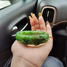 和闐玉碧玉蘋果綠龍手把件12352 歷史價格詳細信息