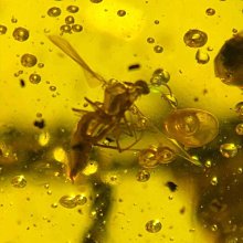 ¤℗櫥櫃保護膜透明柜子家具臺面防水貼膜廚房櫃門廚櫃防油防潮貼 歷史價格詳細信息