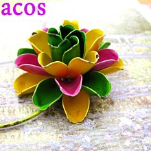 盛開紫羅蘭DVD 艾曼紐德芙 桑德琳齊柏琳 Violets 台灣正版全新 歷史價格詳細信息