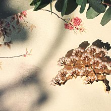 別針 胸針 珍珠圍巾扣絲巾扣環夾高檔女國航披肩扣日韓簡約百搭胸針配飾兩用 衣服配飾-寶島百貨 歷史價格詳細信息