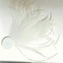 【Dior 迪奧】造型 太陽眼鏡(黑色) 歷史價格詳細信息