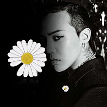 小雛菊胸針可愛日系菊花安全別針固定衣服胸花配飾3359【爆款】~定價,請咨詢yo 歷史價格詳細信息