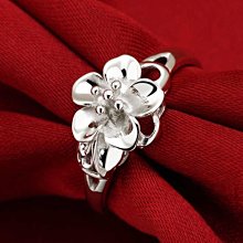 戒指奧特萊斯專柜撿漏鍍18玫瑰金滿天星鈦鋼情侶戒指男女素圈對戒 歷史價格詳細信息