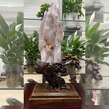 佰德億乾衣機家用可攜式烘護一體烘衣機可摺疊冬日烘衣服幹鞋小巧 歷史價格詳細信息